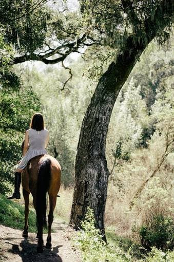 Do you love horse riding? A Beatiful Arab Mare in Los Altos Hills 4
