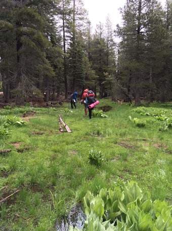 Looking for volunteers (to click on a website) - product idea testing! 1