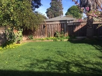 East Palo Alto studio, large kitchen, includes internet & utilities 4