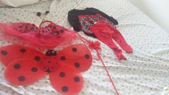 Halloween lady bug costume for sale 1