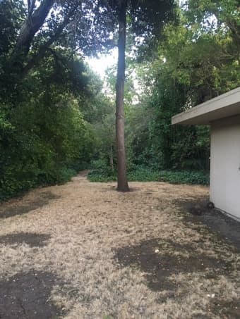 Atherton (Lindenwood neighborhood) home for rent/ 4 bed 2 bath 2