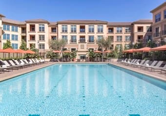 高档2b2b公寓中的1b1b寻租 / Sublease 1b/1b in a 2b/2b apt 1