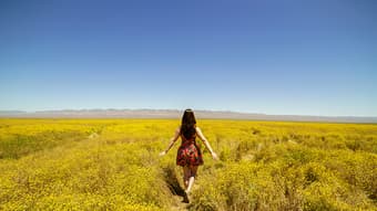 Professional photographer - stunning, vivid, affordable photos! 1