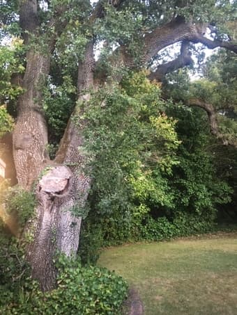 Atherton (Lindenwood neighborhood) home for rent/ 4 bed 2 bath 3