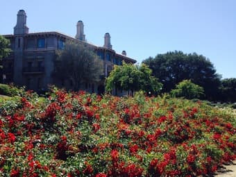 Guitar Lessons, Stanford Instructor - Affordable Rates! 2