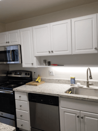 Newly renovated 1bd, 1 bath in ideal location 3