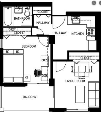 1 bedroom apartment in EV for 1 month Dec. 9-January 8th 1