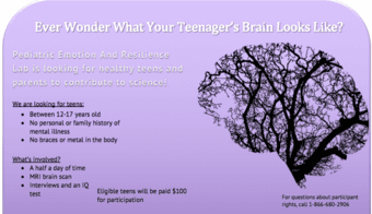 Ever Wonder What Your Teenager's Brain Looks Like? 1