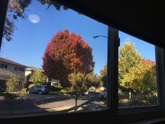 11/29/2019 - 12/03/2019 Menlo Park 2B1B Sublet one bedroom 4