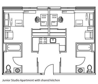 Subleasing Kennedy jr. studio (EV, on campus) 06-15-2020 to 09-10-2020 1