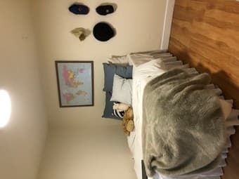 Cute cottage in Menlo Park, 15 minutes from Campus! 4