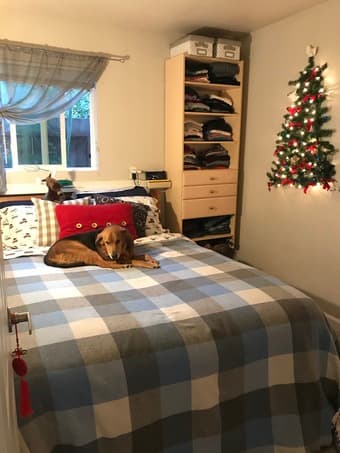 Premium Location Downtown PA - Pet-Friendly 4