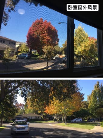 Menlo Park 面积超大客厅寻女室友 可长租或短租 3