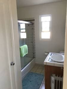 1BR/1BA Next to Campus  - Available 2/18 - 3/11 3