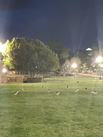 Call to Arms: Mercenaries Needed 1