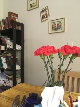 Cute apartment on Stanford Campus! Available April 1 (Spring & Summer) 4