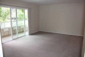 Mountain View 近 san antonio shopping center 新装修2B2B带阳台独立出租-2020.4.30入住 2