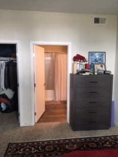 Bedroom+Private Bath in Spacious Mountain View 2BR (Apr/May) 2