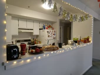 Room in 4bed/2bath Rains apartment - June to September- Females only 1