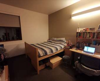 440sq sunlit Kennedy premium studio apartment on campus Spring sublet 1
