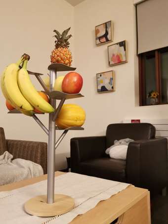 440sq sunlit Kennedy premium studio apartment on campus Spring sublet 2