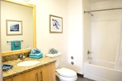 440sq sunlit Kennedy premium studio apartment on campus Spring sublet 3