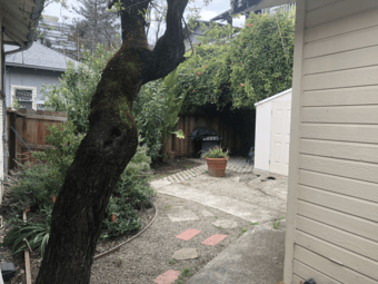 Cozy studio in ideal Palo Alto and Stanford location 4