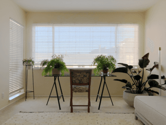 2BD/1BA Spacious Gem in Heart of San Francisco (Ashbury Heights) 4