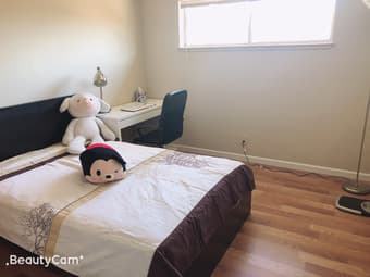 Mountain View downtown附近超高性价比主卧出租 1