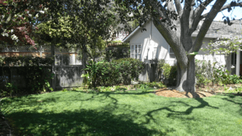 Lush Palo Alto House – Need Female Housemates! (June 1, year long) 2