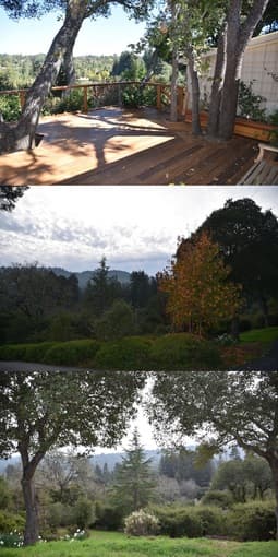 Cozy studio in Woodside available now for Located on almost 4 acres in 1