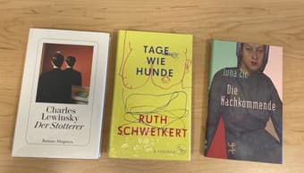 German Books - NEW - Assorted Titles In Hardcover 2
