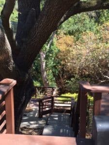 Retreat-like Guest Apartment Now Available in Redwood City 4