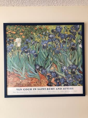 Custom-framed Van Gogh Print 1