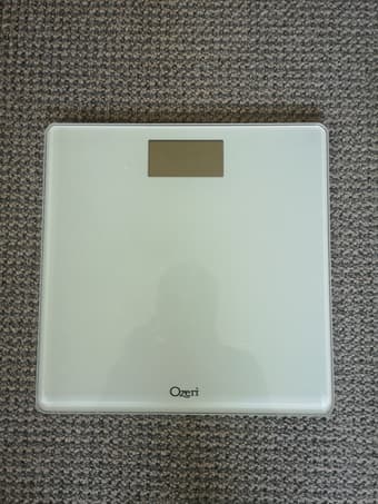 bodyweight scale 1