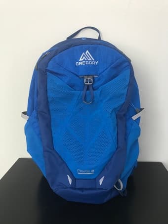 Gregory 18 Liter Men's Daypack - Almost New 2