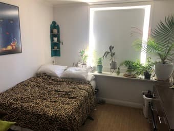 Room in 2 bedroom apt in Bernal Heights! 1