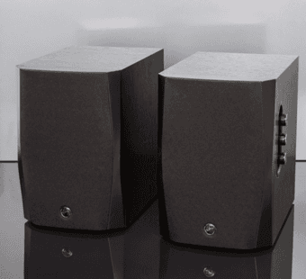 Swan D1010 Speaker 1