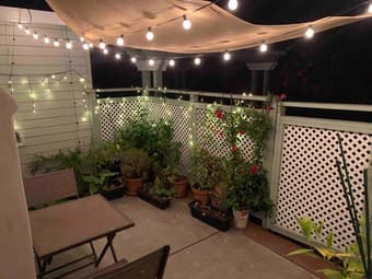 House 1905 Cooley Ave: 2 bedrooms, 1 bathroom (about 900 sq ft) 2