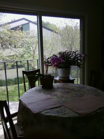 Sunny, Quiet end unit furnished 2B/2Bath 777 San Antonio 4