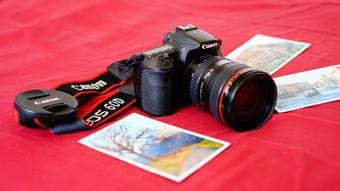 Canon EOS 60D + Lens EF 24-105mm f/4L IS USM 1