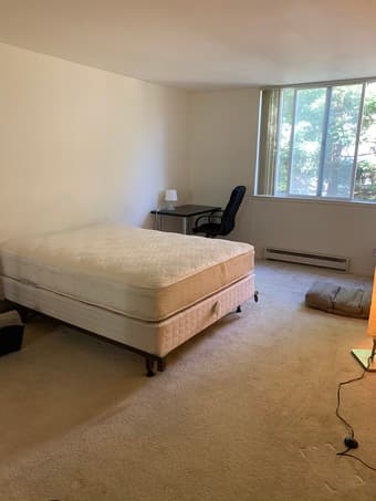 Free well-maintained Queen Size mattress and frame 1