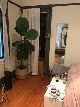 Room in the Mission available August 1 (move-in Aug 1 - Sep 1 latest) 2