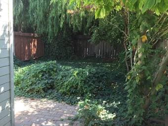 Charming studio/in-law home with private yard/garden in Mountain View 1