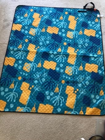 Picnic Mat 1