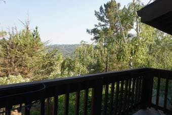 Serene 2BR/2BA Condo in San Carlos Hills 2