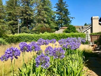 Studio with garden, private deck and walk-in closet in Menlo Park 2