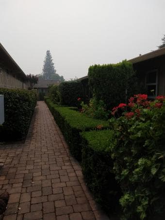 Studio apartment Mountain View, available Now 1