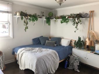 Room in Pacifica House 1