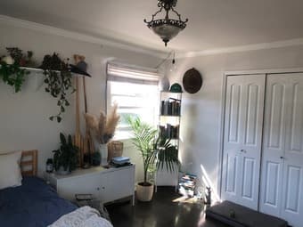 Room in Pacifica House 3